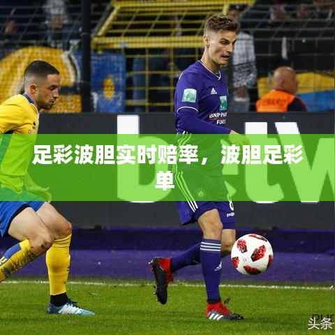 车主社区 第253页