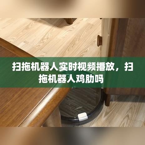 扫拖机器人实时视频播放,扫拖机器人鸡肋吗