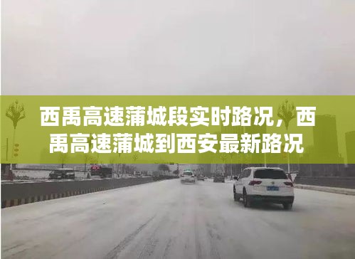 车主社区 第251页