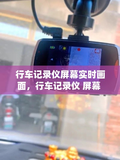 汽车保险 第255页