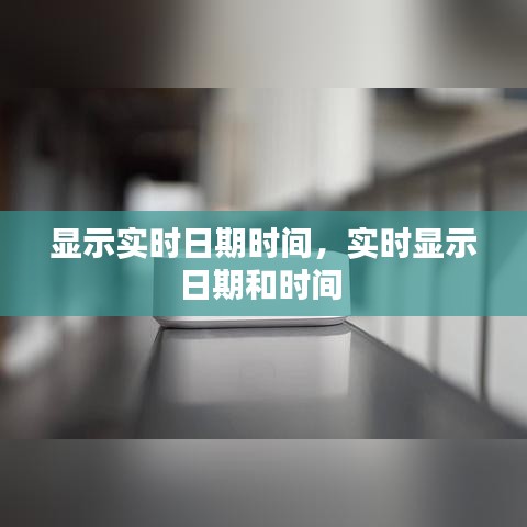 汽车保险 第254页