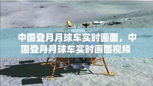 汽车百科 第250页