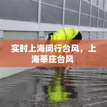 汽车百科 第249页