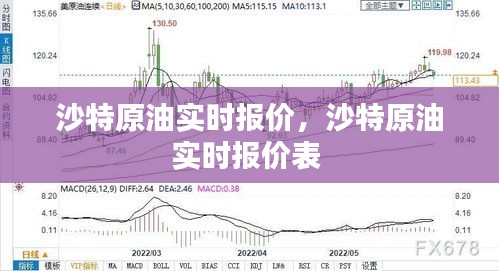 促销活动 第252页