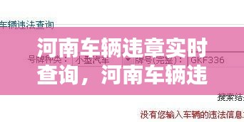 河南车辆违章实时查询，河南车辆违章查询在线查询 