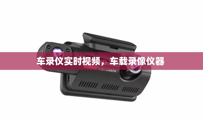 比翼鸟 第3页