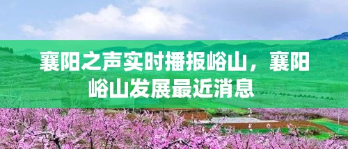 促销活动 第249页