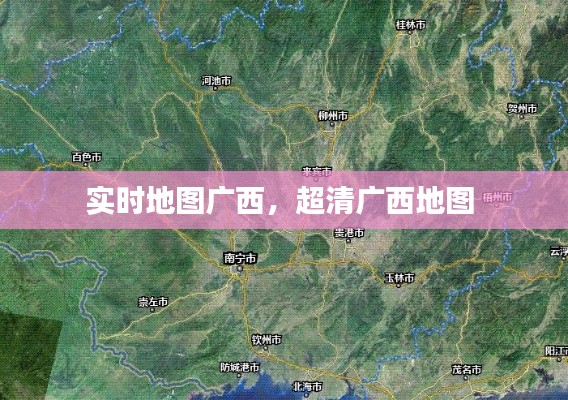 伸手不见五指 第3页
