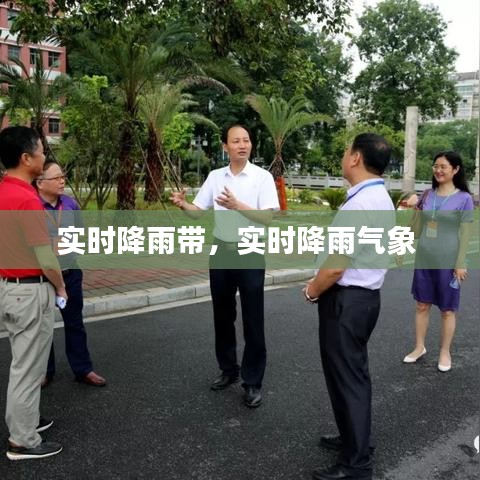 促销活动 第248页