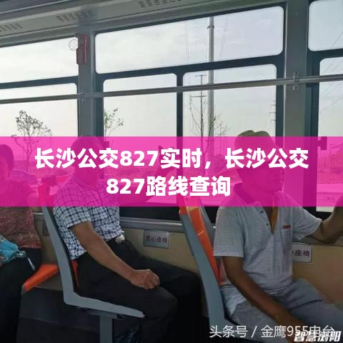 踊贵屦贱 第4页