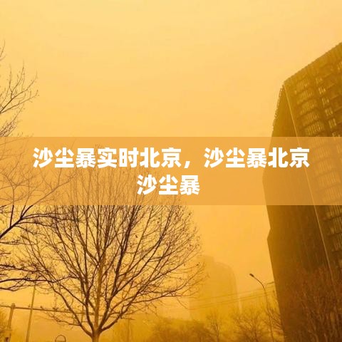 千娇百媚 第3页