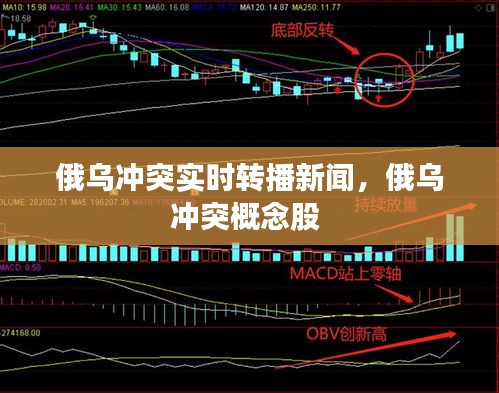 一石二鸟 第3页