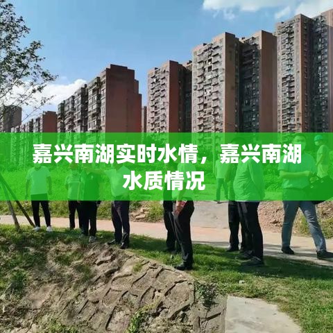 嘉兴南湖实时水情，嘉兴南湖水质情况 