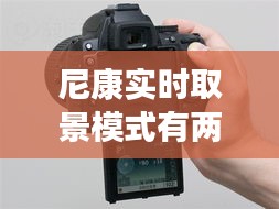 百不得一 第3页