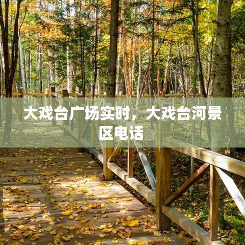 池鱼笼鸟 第4页