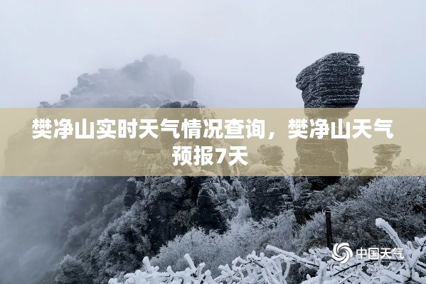 棒打出头鸟 第3页