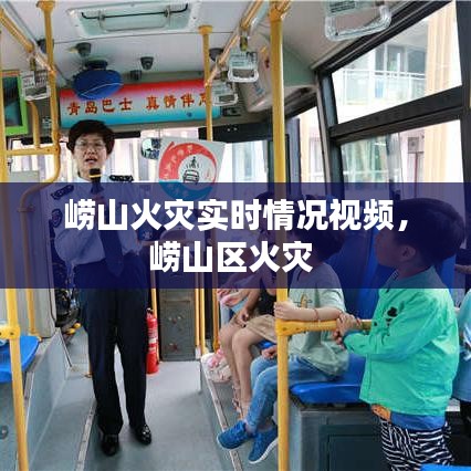 吉光片羽 第3页