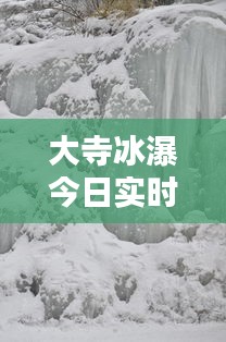 富贵骄人 第3页