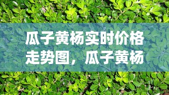 千里迢迢 第3页