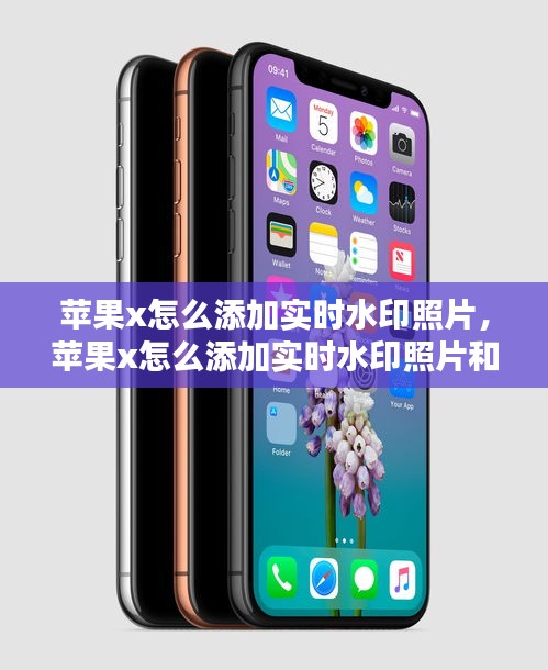 斫琱为朴 第3页