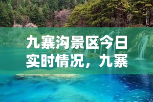 日就月将 第3页