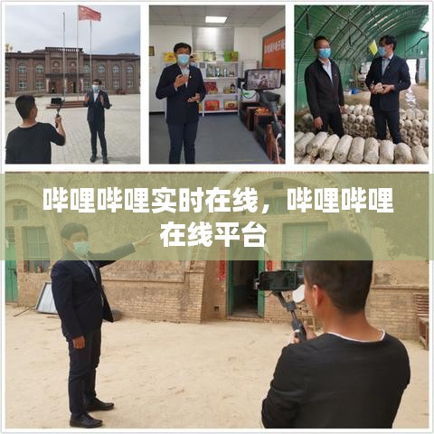 哔哩哔哩实时在线，哔哩哔哩在线平台 