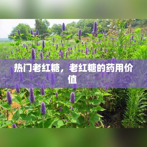 学而不厌 第3页