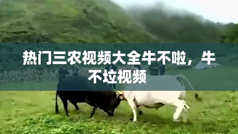 星星打烊 第3页