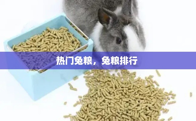 炙手可热 第3页