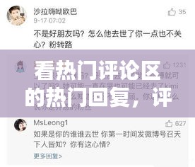 鸟语花香 第3页