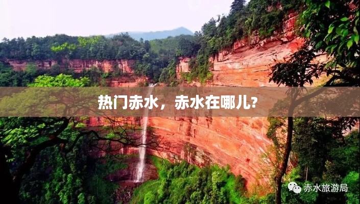 不飞则已 第4页