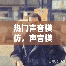 热门声音模仿，声音模仿的综艺节目叫什么 