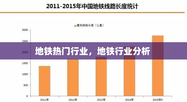 鸟为食亡 第3页