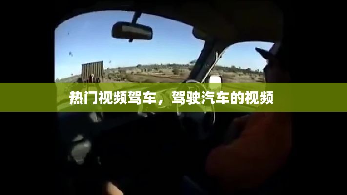 忠心耿耿 第3页