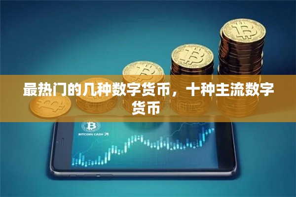 洁身自好 第3页