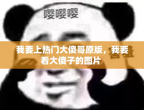 鸟飞兔走 第3页