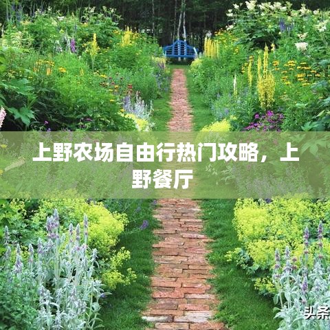 龙飞九五 第3页