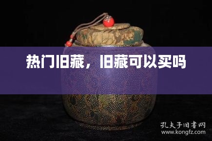因陋就简 第3页