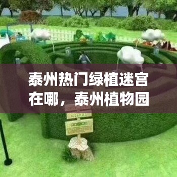 泰州热门绿植迷宫在哪，泰州植物园最新消息 