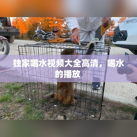 焚膏继晷 第2页