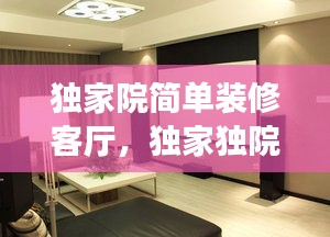 独家院简单装修客厅，独家独院装修 