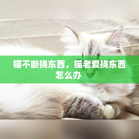 猫不断挠东西，猫老爱挠东西怎么办 