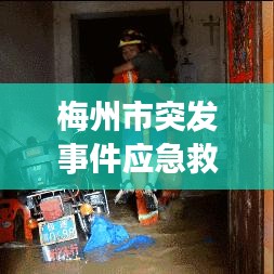 不耻下问 第3页