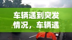 飞龙在天 第3页