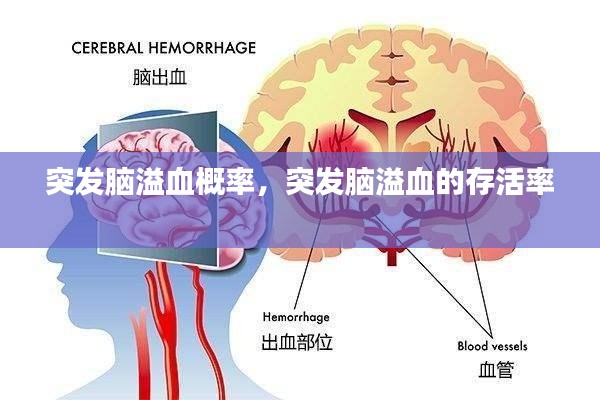 十年磨剑 第3页