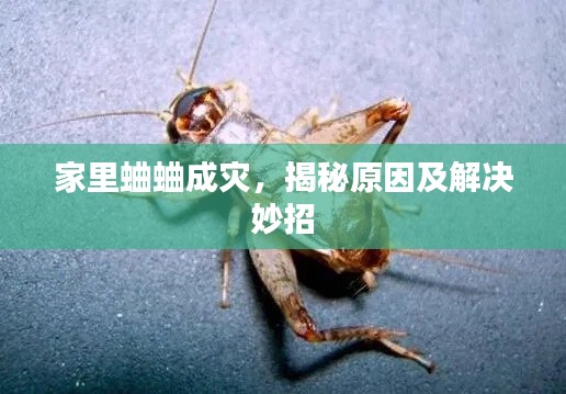 蛾眉曼睩 第3页