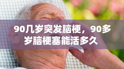穷鸟入怀 第2页