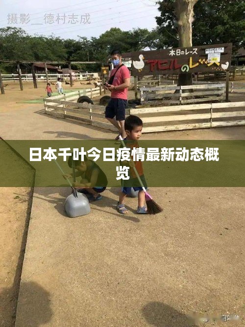 日本千叶今日疫情最新动态概览