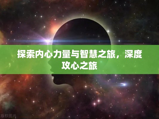 各就各位 第2页