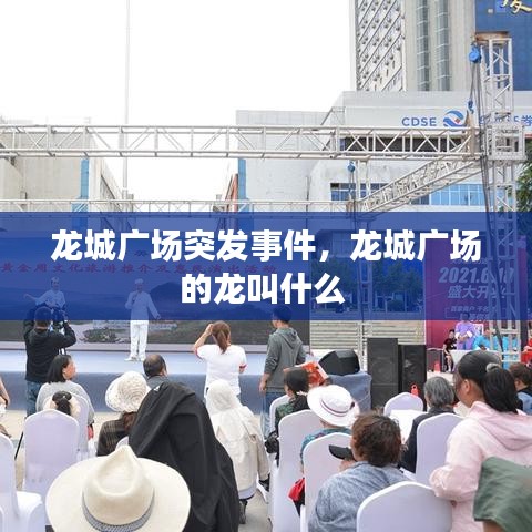 龙城广场突发事件，龙城广场的龙叫什么 